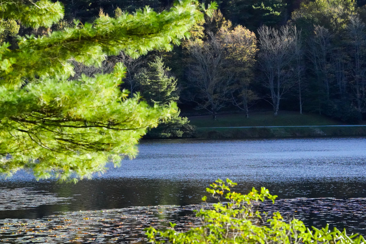 Fall Colors 6